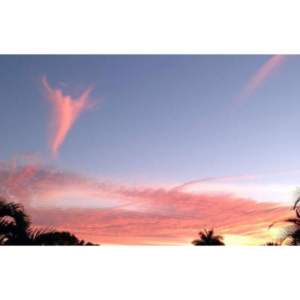 2020-09-13 Advanced Meditations 2