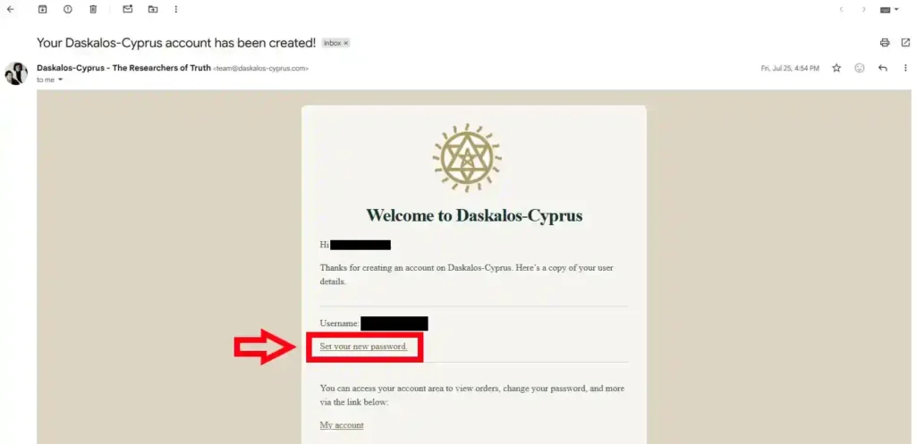 screenshot reset password email